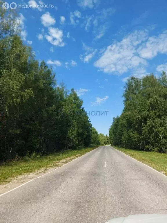 Участок в Инютино, Луговая улица, 19 (25 м) - Фото 1