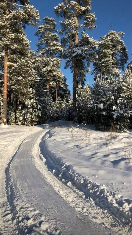 Участок в Московская область, Ленинский городской округ, д. ... - Фото 0