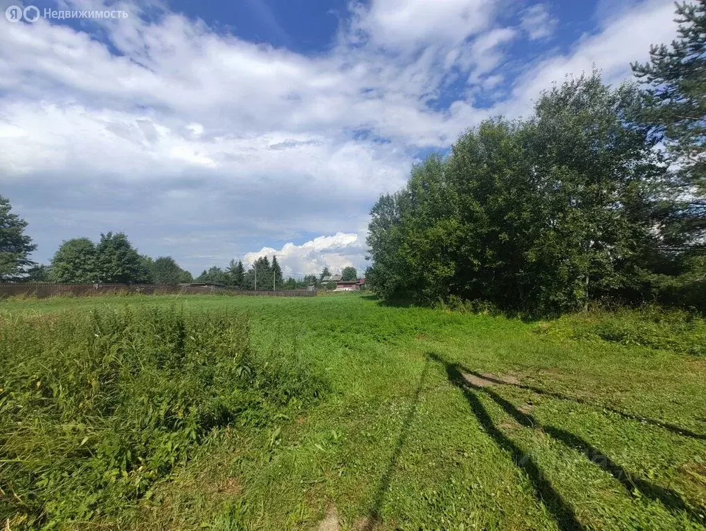 Участок в Клопицкое сельское поселение, деревня Голубовицы (26.2 м) - Фото 1