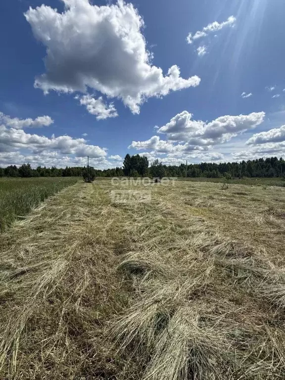 Участок в Московская область, Орехово-Зуевский городской округ, д. ... - Фото 2