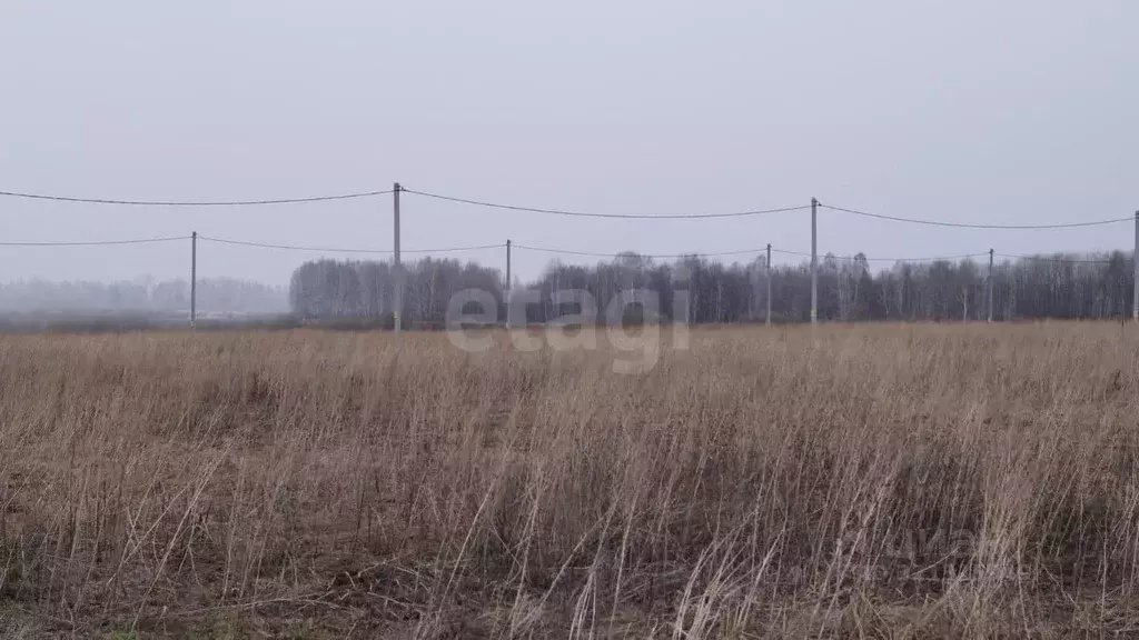 Участок в Тюменская область, Тюменский район, д. Малиновка  (5.0 сот.) - Фото 0