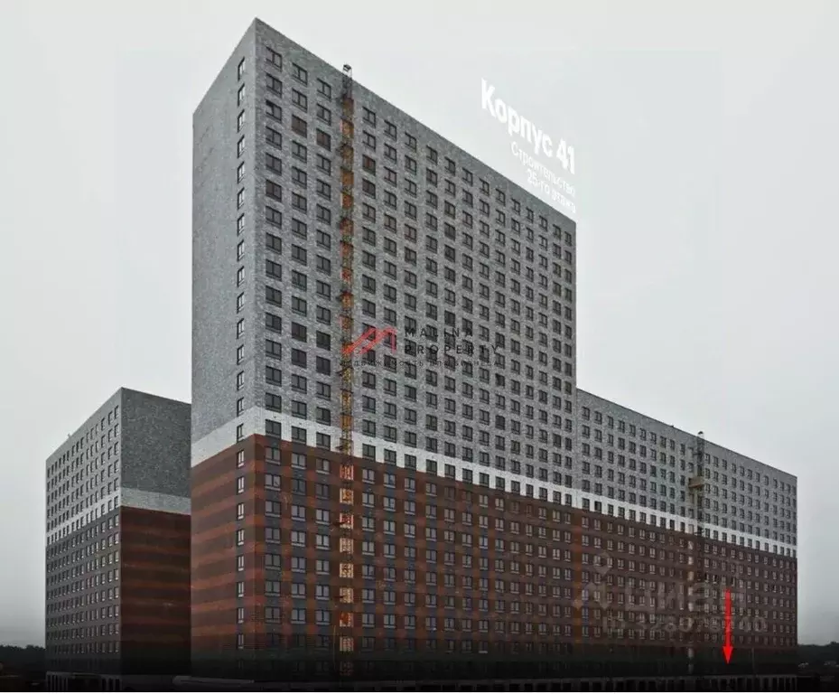 Торговая площадь в Московская область, Ленинский городской округ, ... - Фото 1