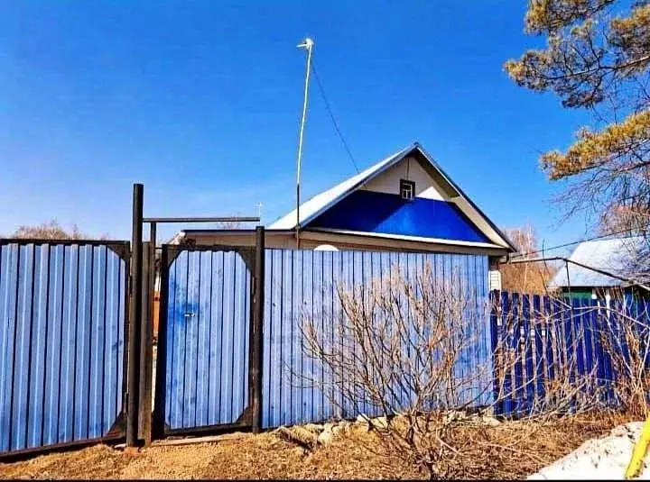 Дом в Хабаровский край, Имени Лазо район, с. Павленково  (56 м) - Фото 2