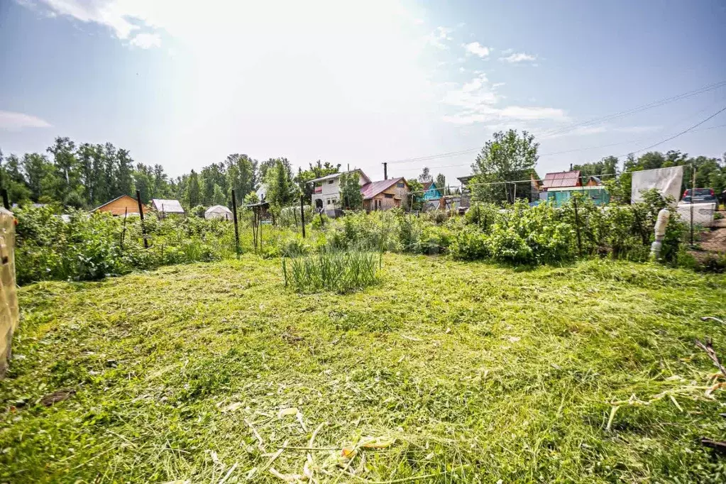 Участок в Новосибирская область, Новосибирский район, Барышевский ... - Фото 1