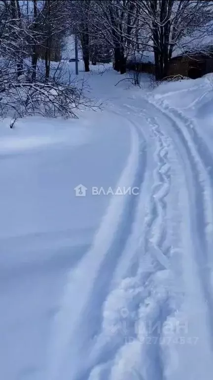 Участок в Владимирская область, Вязниковский район, Паустовское ... - Фото 2
