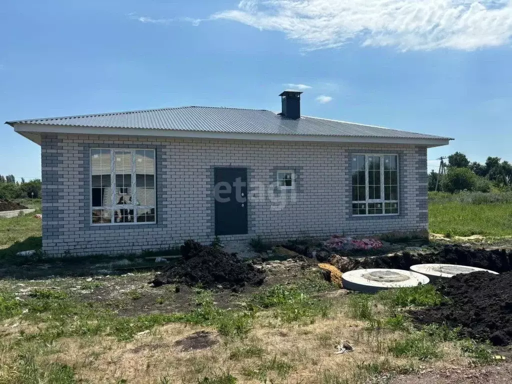 Дом в Воронежская область, Рамонский район, с. Новоживотинное ул. ... - Фото 2