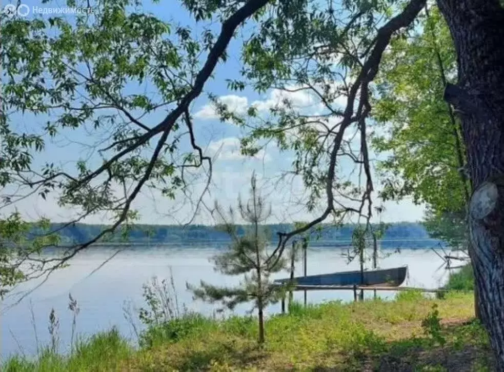 Участок в Костромской район, Чернопенское сельское поселение, село ... - Фото 0