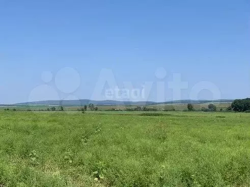 Участок 10 сот. (СНТ, ДНП) - Фото 1