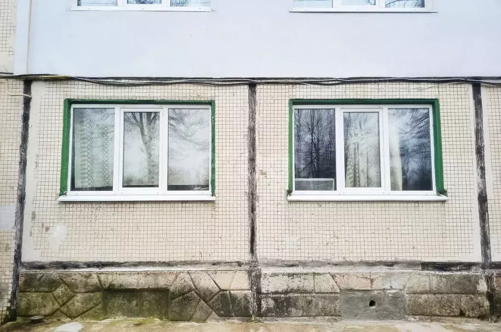 2-к кв. Калужская область, Ферзиковский муниципальный округ, ... - Фото 2