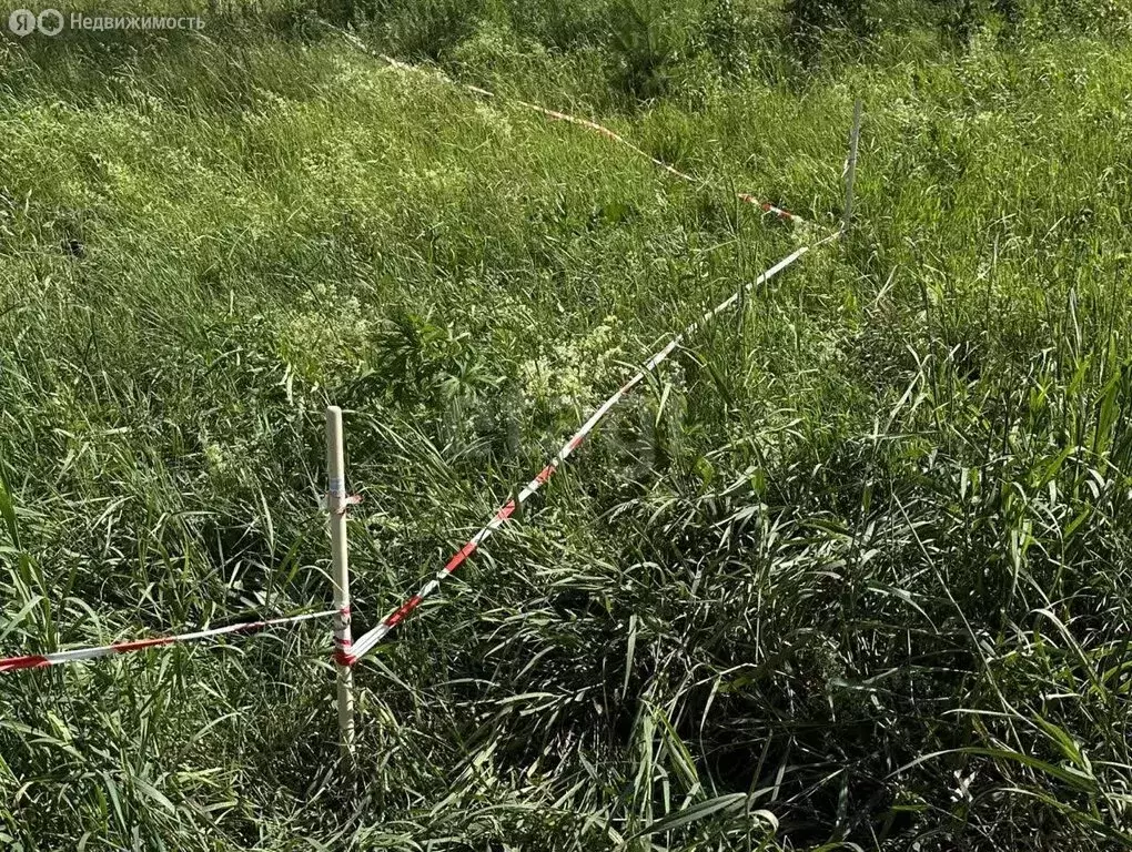 Участок в деревня Кандинка, улица Гагарина (8.7 м) - Фото 2