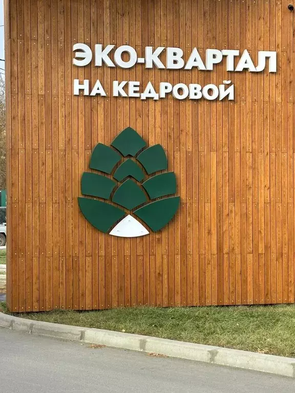 Студия Новосибирская область, Новосибирский район, Мочищенский ... - Фото 1