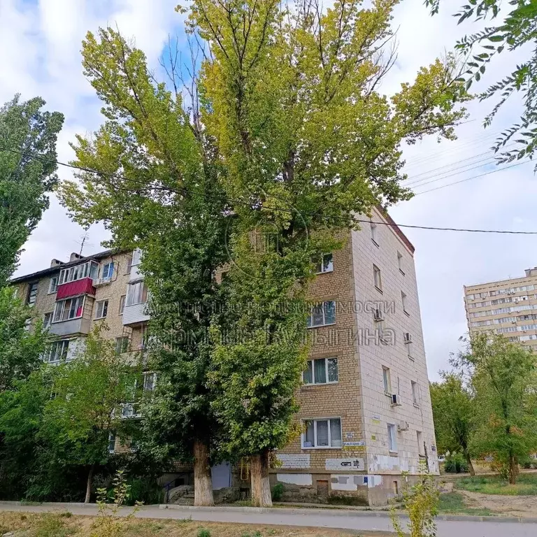 2-к кв. Волгоградская область, Волгоград ул. 64-й Армии, 30 (41.5 м) - Фото 0