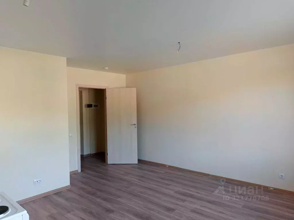 Студия Псковская область, Остров ул. Калинина, 82А (25.8 м) - Фото 2