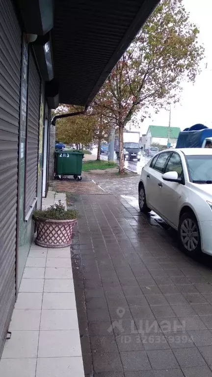 Помещение свободного назначения в Краснодарский край, Новороссийск ... - Фото 1