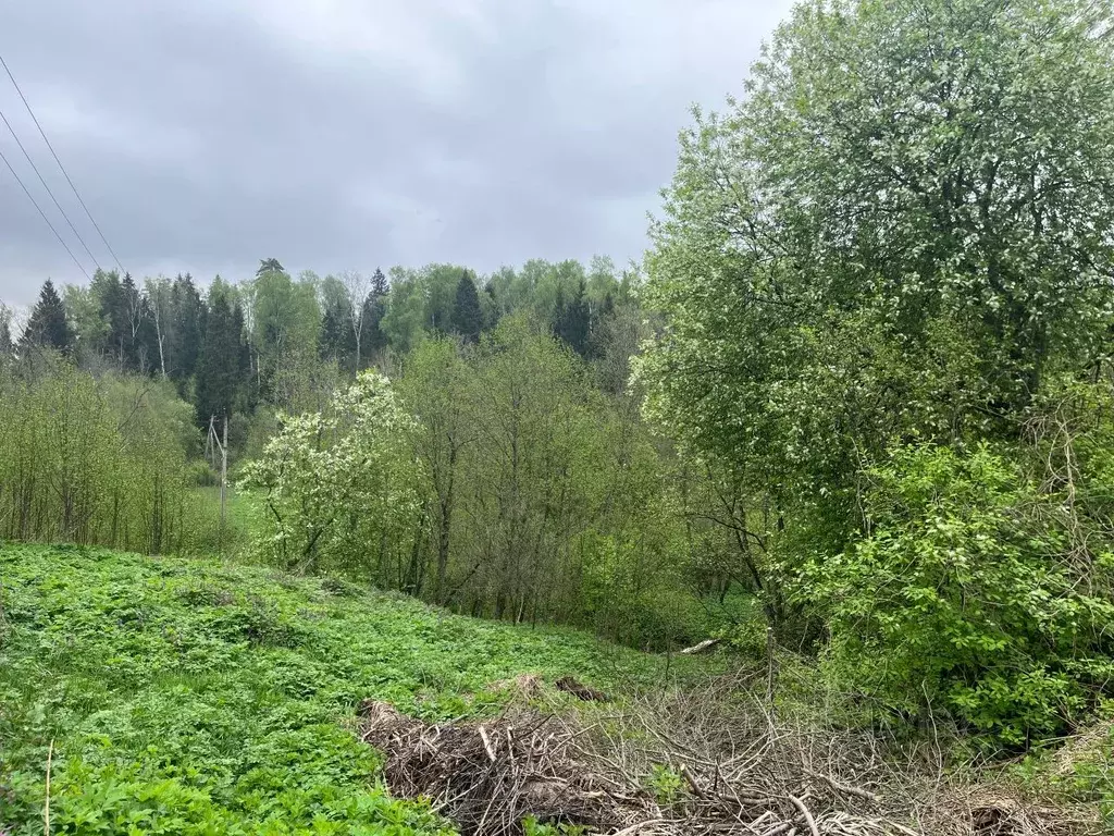Участок в Московская область, Одинцовский городской округ, Чамры СНТ ... - Фото 1
