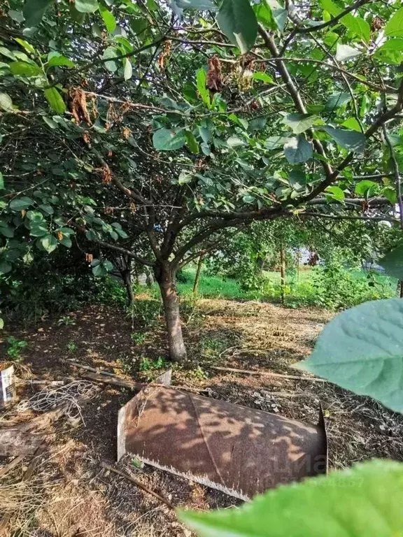 Участок в Краснодарский край, Динской район, Новотитаровская ст-ца ул. ... - Фото 2