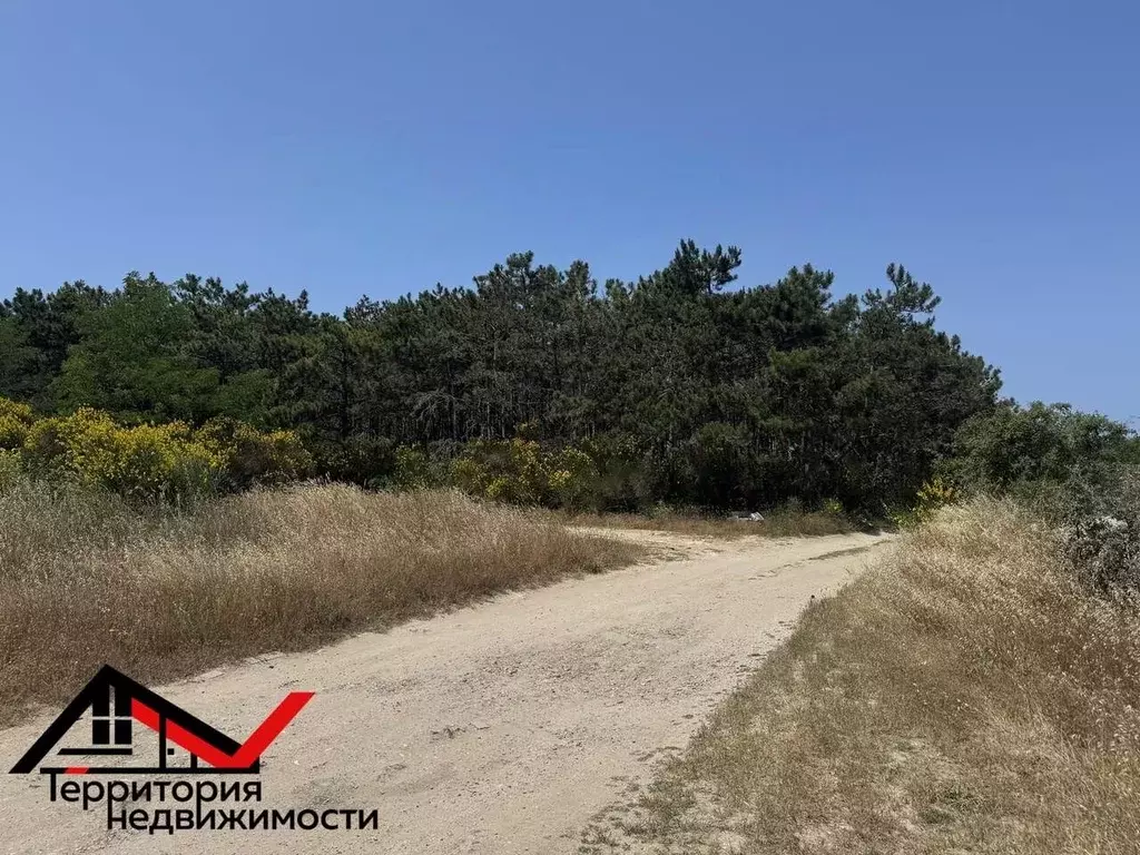 Участок в Севастополь Надежда-2 садоводческое товарищество, 34 (4.0 ... - Фото 2