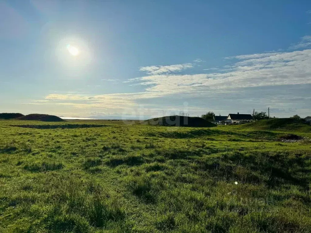 Участок в Крым, Ленинский район, Батальненское с/пос, с. Южное  (100.0 ... - Фото 1