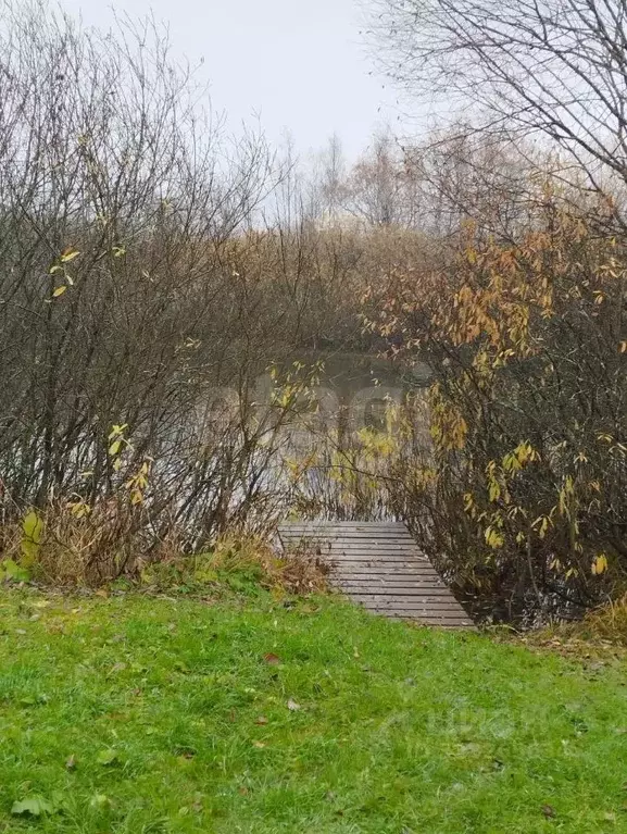 Участок в Московская область, Дмитровский муниципальный округ, д. ... - Фото 2