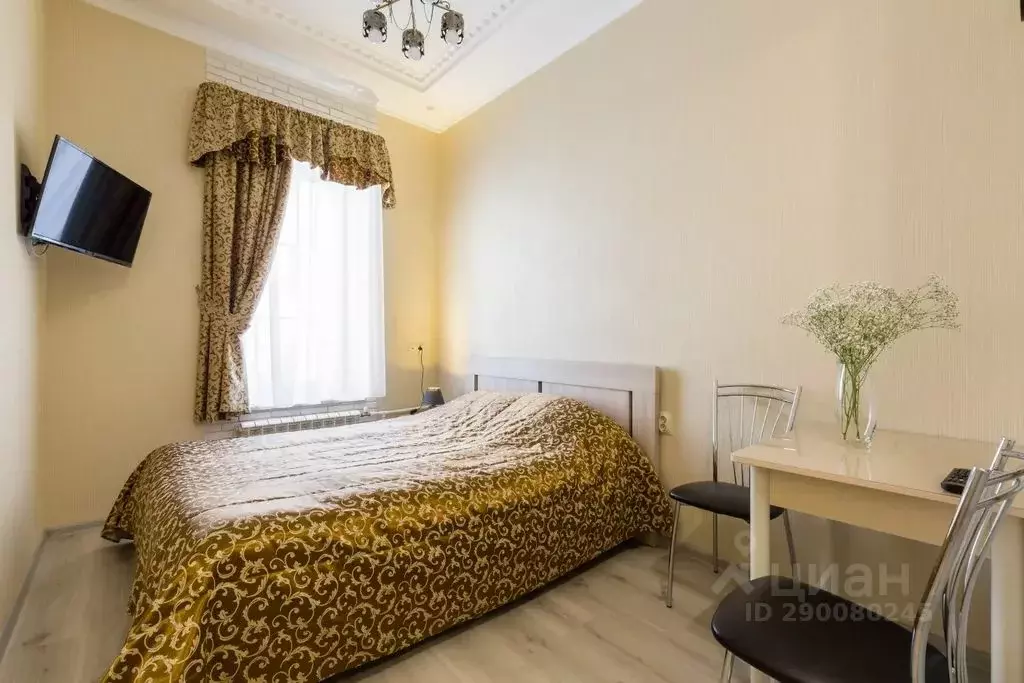 1-к кв. Санкт-Петербург Вознесенский просп., 3-5 (24.0 м) - Фото 2