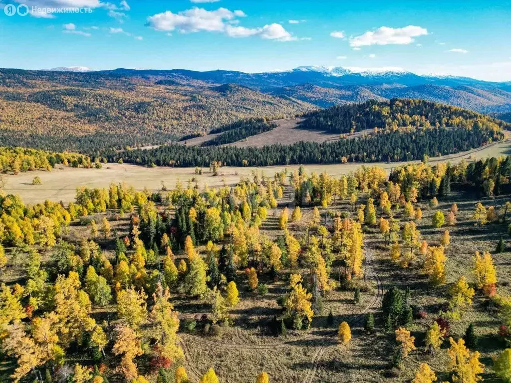 Участок в Чемальский район, село Чемал (300 м) - Фото 1