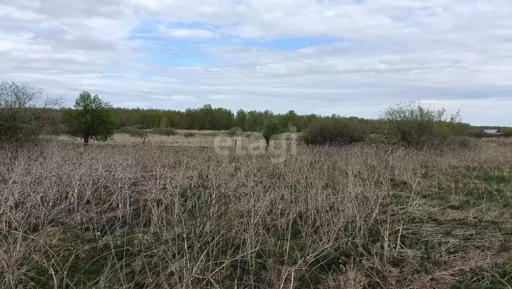 Дом в Челябинская область, Каслинский муниципальный округ, с. ... - Фото 1
