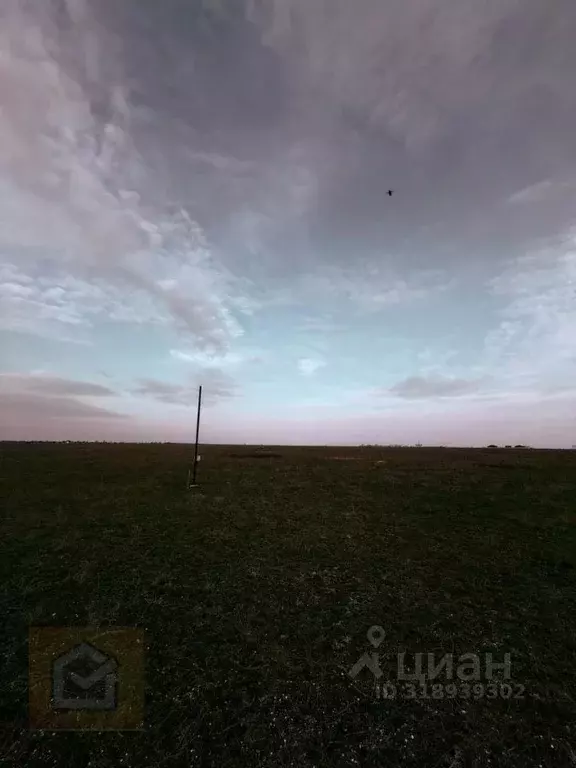 Участок в Крым, Сакский район, с. Молочное  (100.0 сот.) - Фото 0