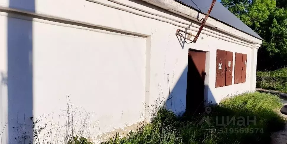 Торговая площадь в Нижегородская область, Дальнеконстантиновский ... - Фото 1