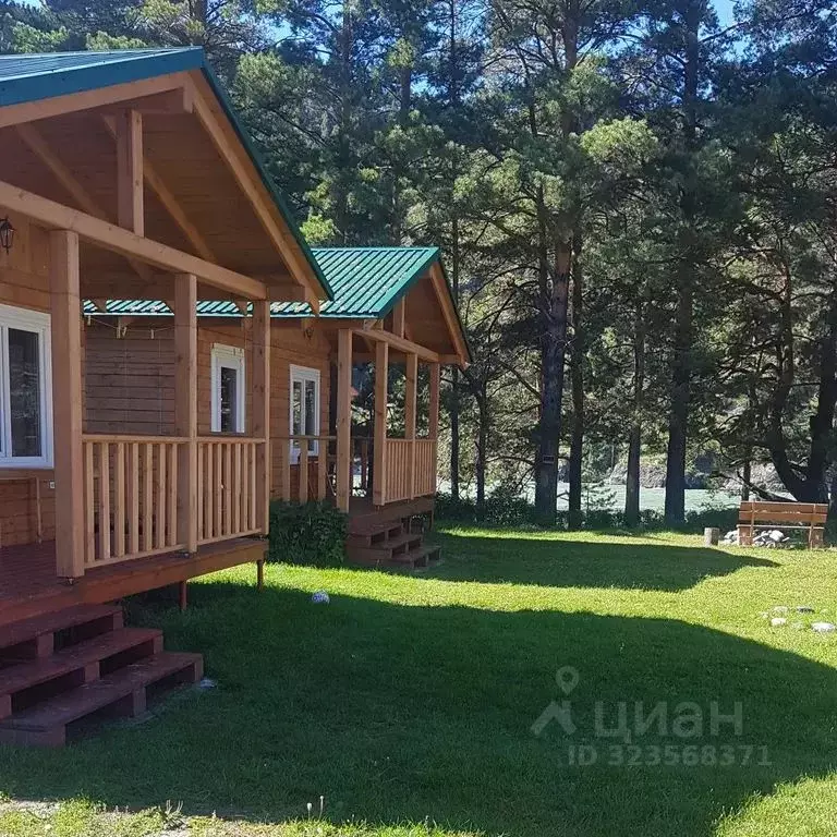 Дом в Алтай, Чемальский район, с. Чемал ул. Прикатунская, 67 (33 м) - Фото 1