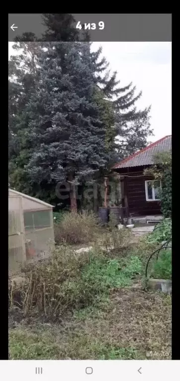 Дом в Томская область, Томск пос. Басандайка, ул. Грибная (76 м) - Фото 1