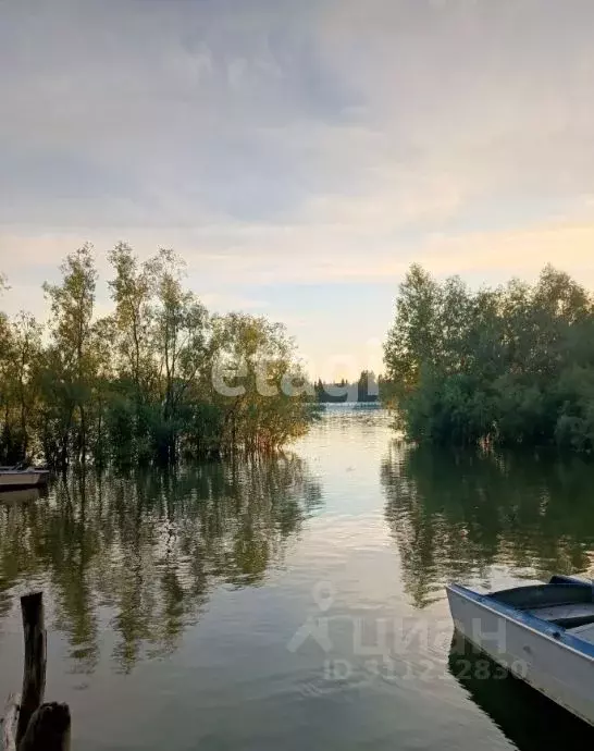 Участок в Новосибирская область, Новосибирский район, Кудряшовский ... - Фото 1