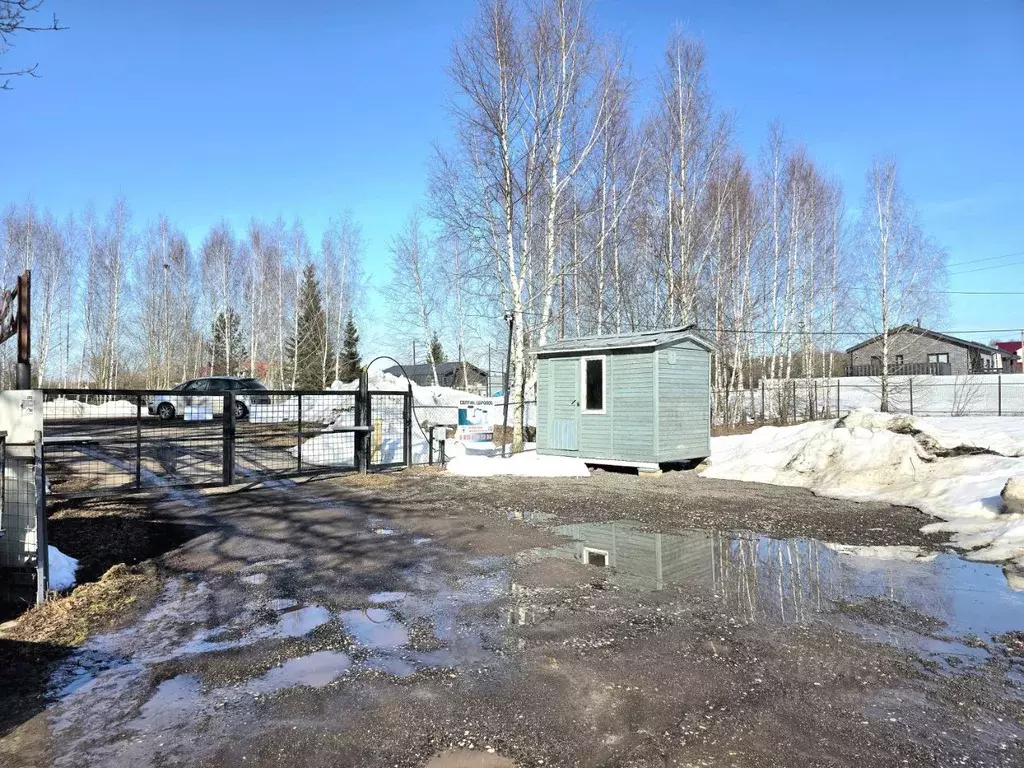 Участок в Московская область, Ступино городской округ, Ясень СНТ 174 ... - Фото 2