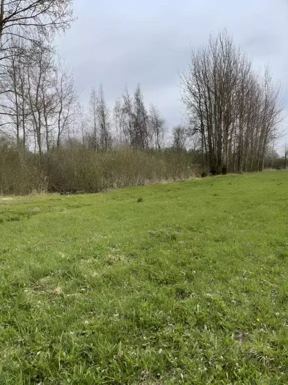 Участок, 10 сот., поселения (ижс) - Фото 1