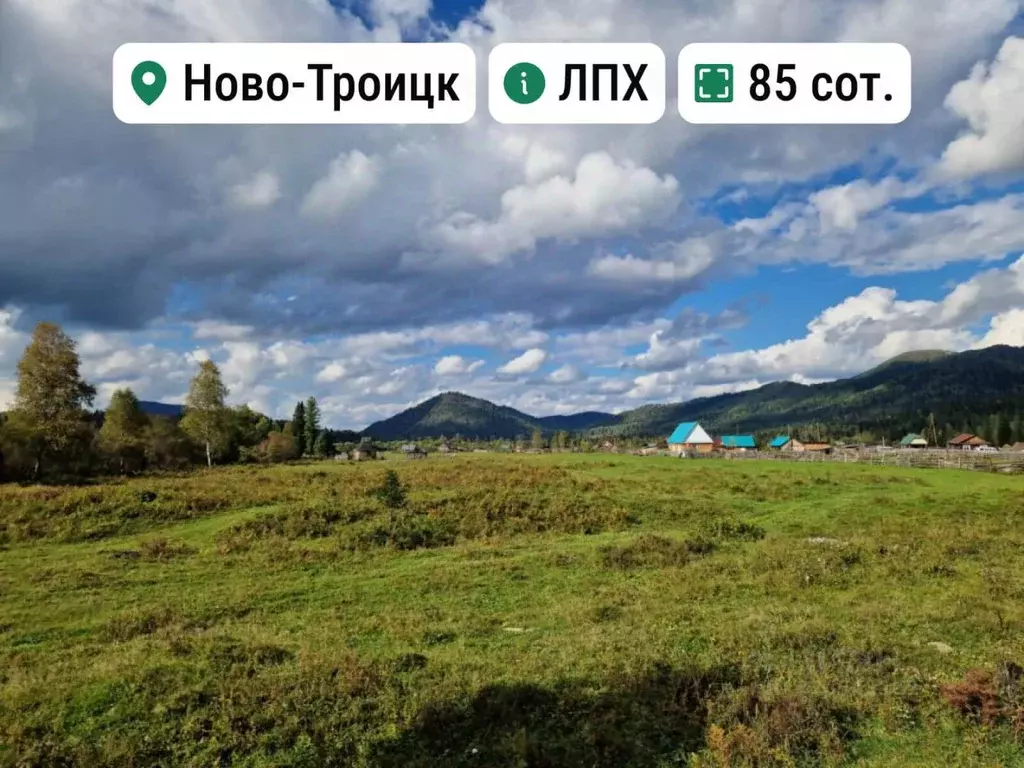 Участок в Алтай, Турочакский район, с. Ново-Троицк  (85.0 сот.) - Фото 1