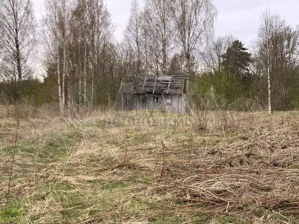 Дом 16,3 м на участке 20 сот. - Фото 0