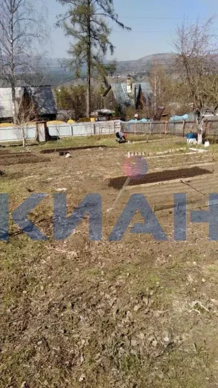 Участок в Красноярский край, Красноярск Ручеек садовое товарищество, ... - Фото 2