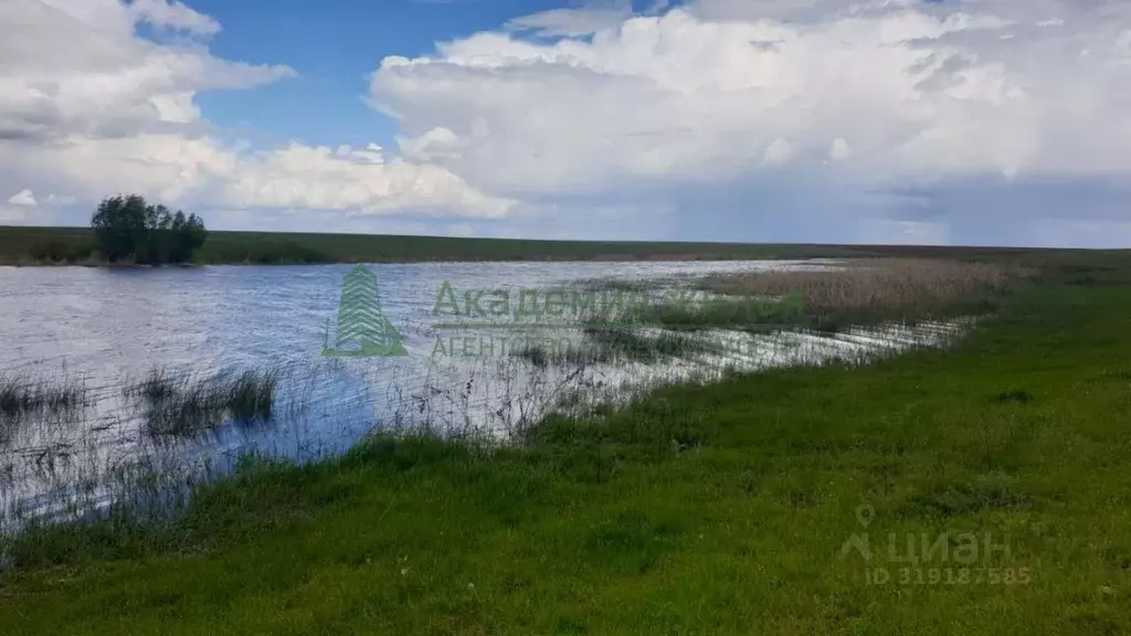Участок в Саратовская область, Новоузенск  (3000.0 сот.) - Фото 0