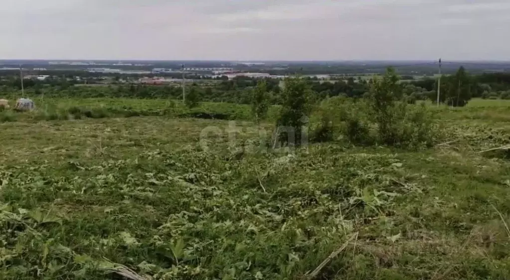 Участок в Ярославская область, Ярославский муниципальный округ, с. ... - Фото 1
