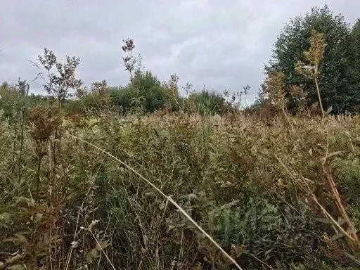 Участок в Московская область, Воскресенск городской округ, с. Ашитково ... - Фото 1