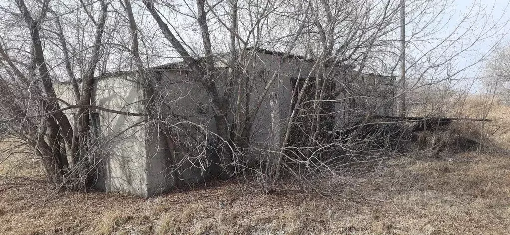 Гараж в Курганская область, Белозерский муниципальный округ, с. ... - Фото 2