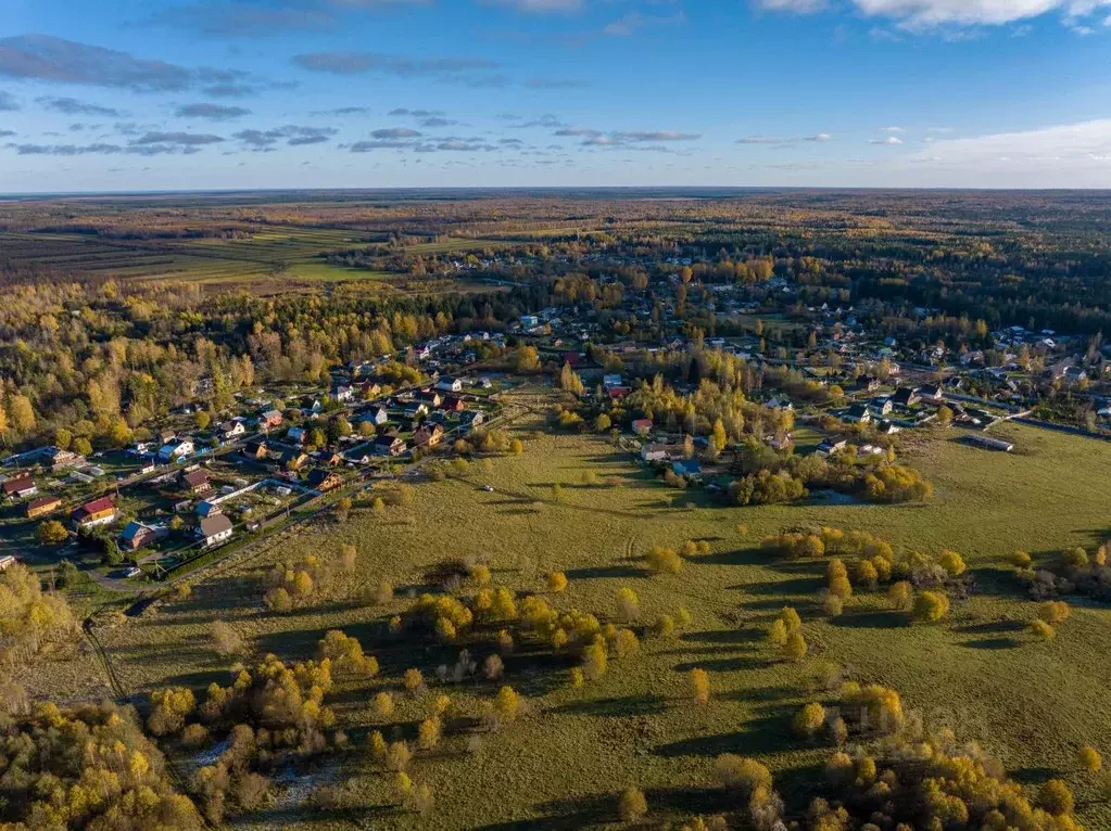 Участок в Ленинградская область, Всеволожский район, Куйвозовское ... - Фото 0
