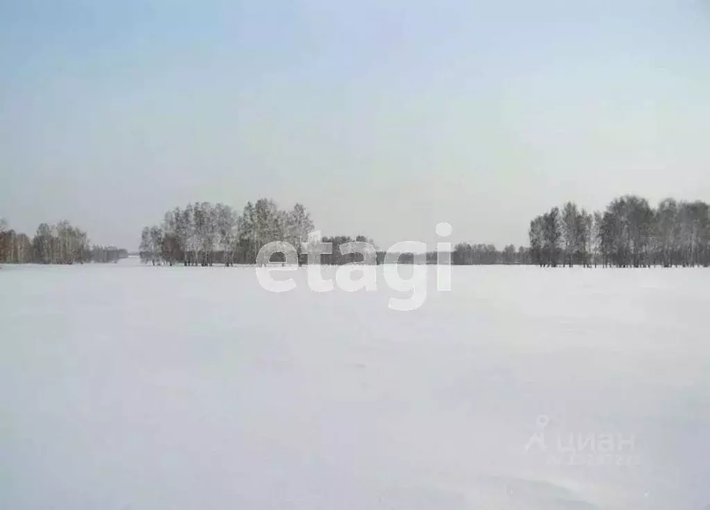 Участок в Свердловская область, Горноуральский городской округ, пос. ... - Фото 0