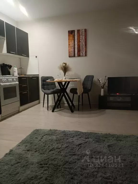 Студия Московская область, Люберцы Инициативная ул., 13 (28.0 м) - Фото 1