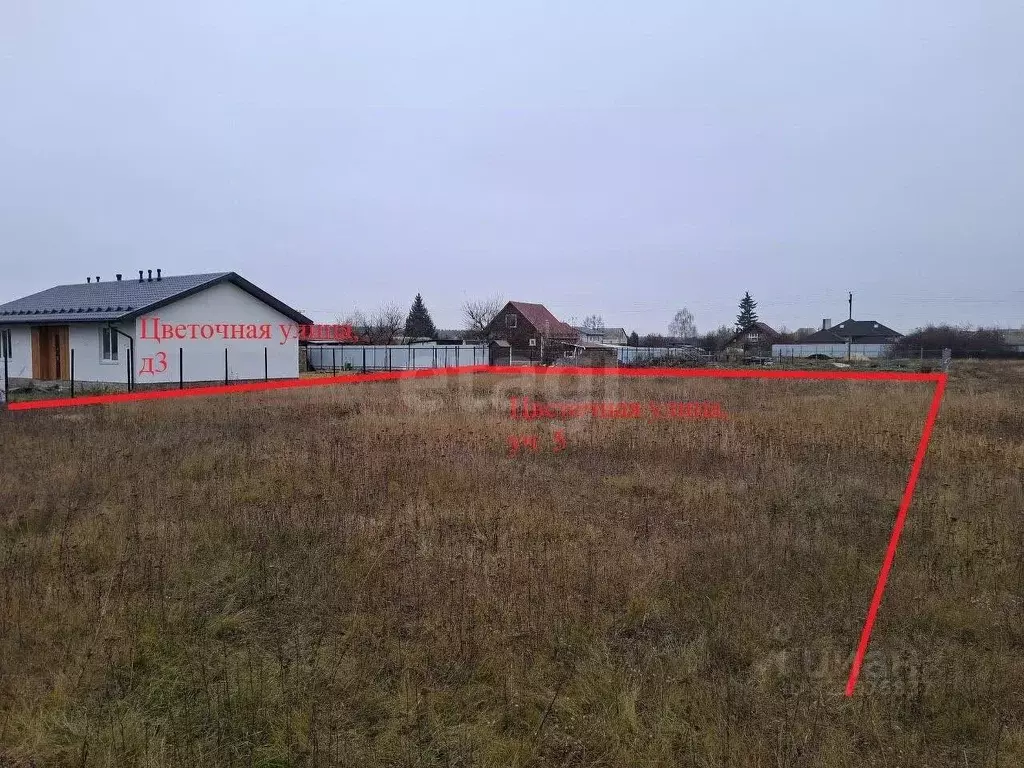 Участок в Воронежская область, Верхнехавский район, Углянское с/пос, ... - Фото 1