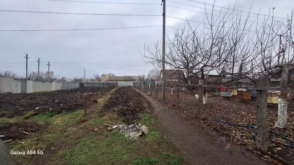 Участок в Саратовская область, Воскресенский район, Елшанское ... - Фото 1