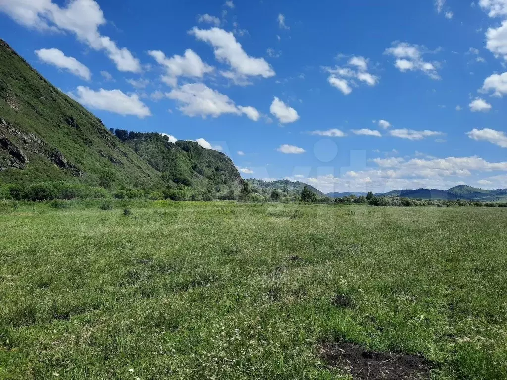 Участок 4,8 га (СНТ, ДНП) - Фото 1