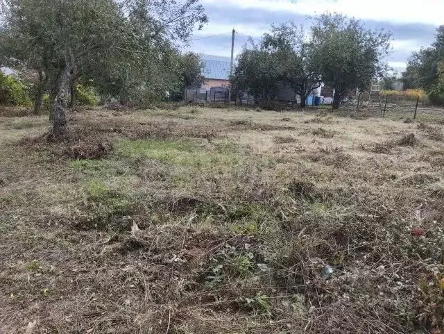 Участок в Липецкая область, Липецк Мечта СНП, 503 (6.05 сот.) - Фото 2