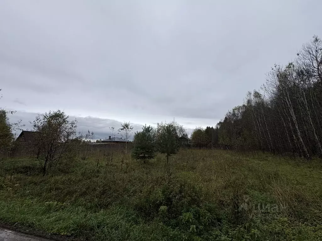 Участок в Пермский край, Краснокамский муниципальный округ, Северный ... - Фото 1