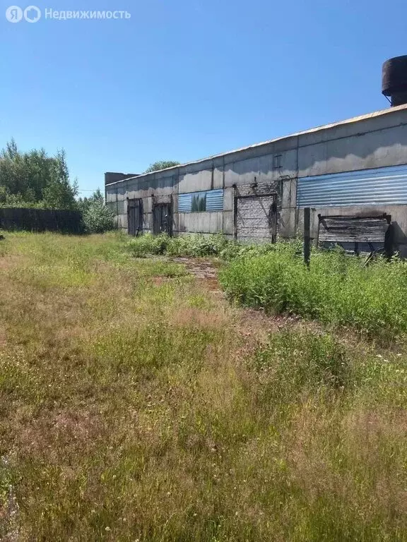 Участок в посёлок Возрождение, посёлок Петровка (26 м) - Фото 1