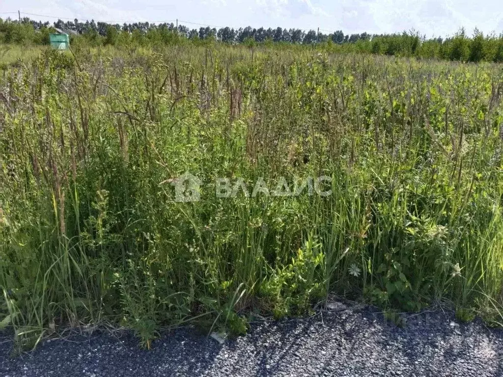 Участок в Нижегородская область, Богородский муниципальный округ, д. ... - Фото 0